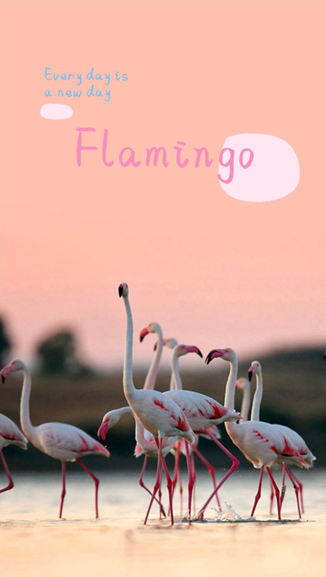 Sticker Examples-Appendix-Image Kit - HUAWEI Developers