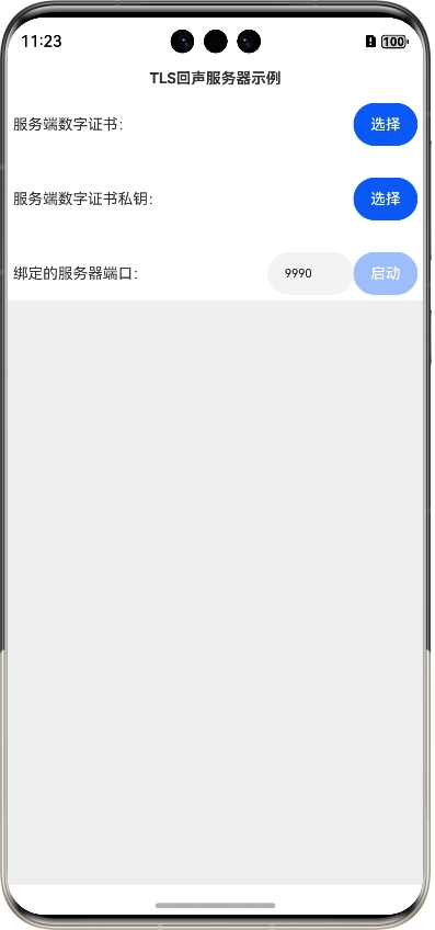 TLS回声服务器示例界面