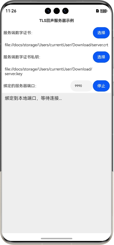 启动TLS回声服务器