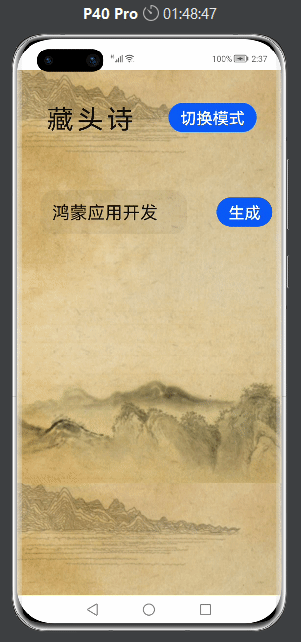 效果演示