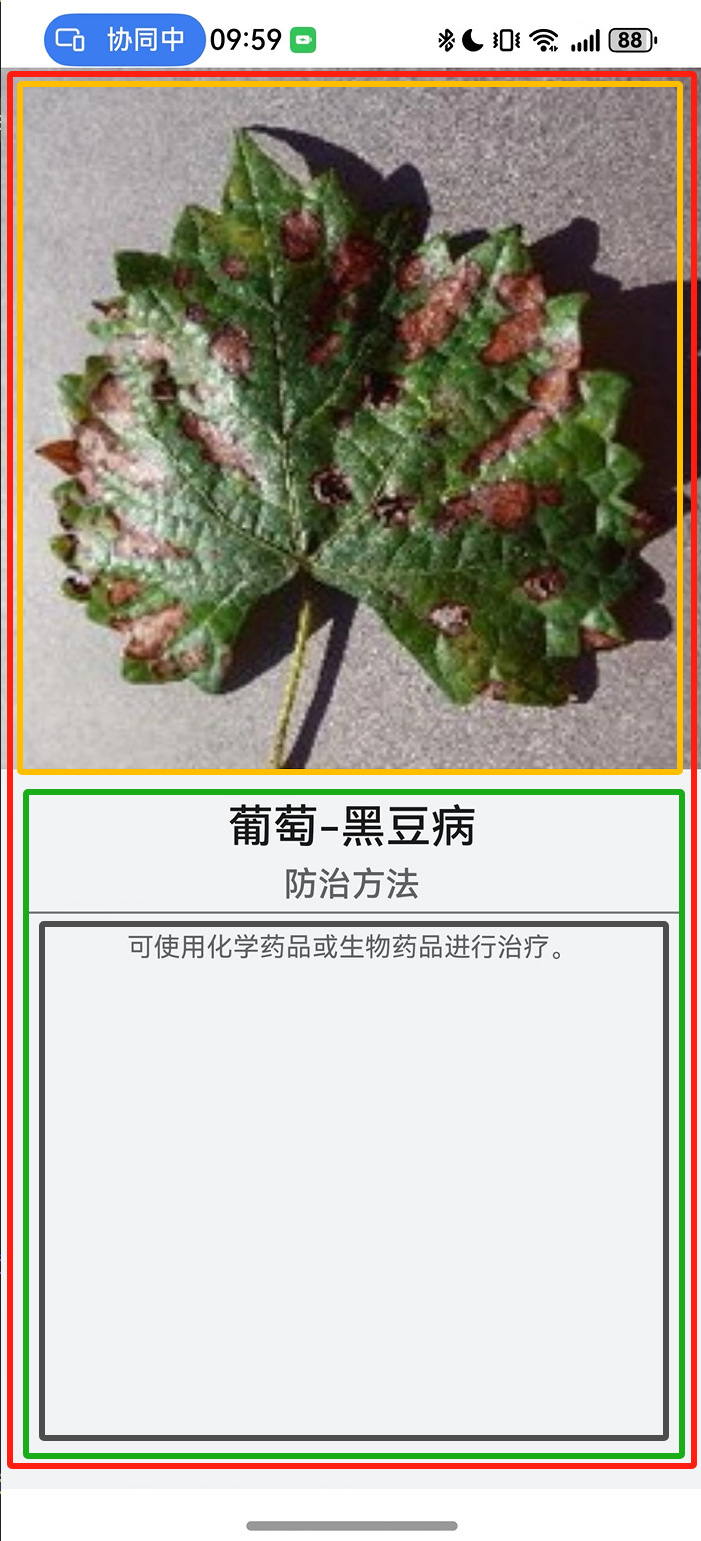 ＃放码来战．端云一体化开发＃HarmonyOS 5 【农民叔叔】17.【端侧工程】病虫害详细信息页面布局build实现-鸿蒙开发者社区