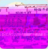 cke_3500.png