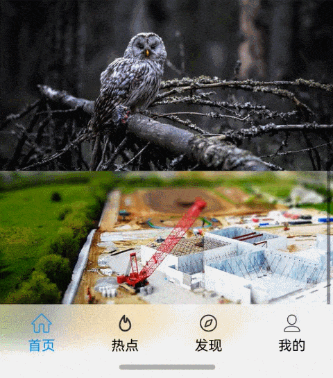 效果图预览